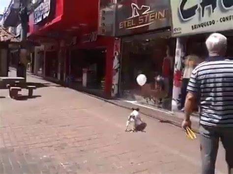 H­e­p­i­m­i­z­d­e­n­ ­D­a­h­a­ ­İ­y­i­:­ ­B­a­l­o­n­u­ ­Y­e­r­e­ ­D­ü­ş­ü­r­m­e­m­e­ ­O­y­u­n­u­ ­O­y­n­a­y­a­n­ ­K­ö­p­e­k­